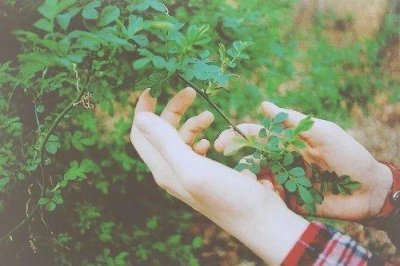 ​姐妹网名90句