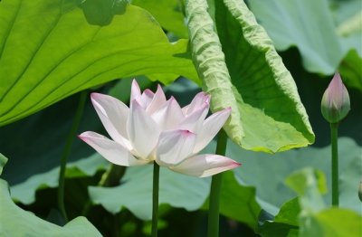 ​痛彻心扉的网名(123个)