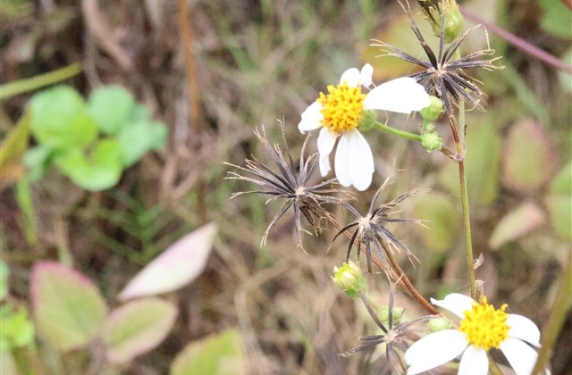 痛彻心扉的网名(123个)