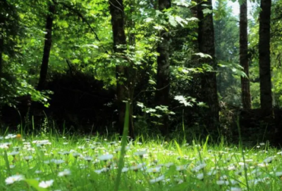 ​好听的篮球队名字(68个)