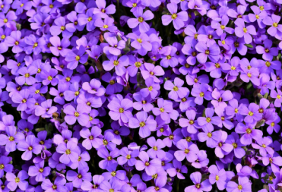 ​一看就是玩原神的名字(精选99个)