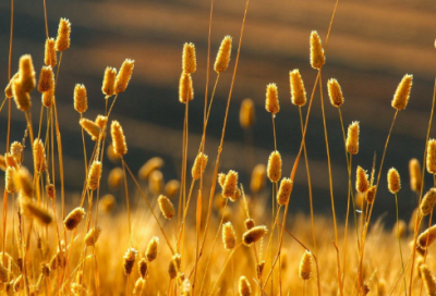 ​大气有格局的公司名字(优选87个)