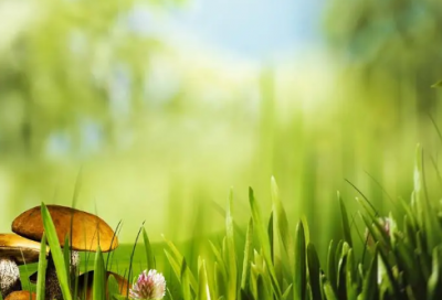 ​带有与毕字的网名(80个)