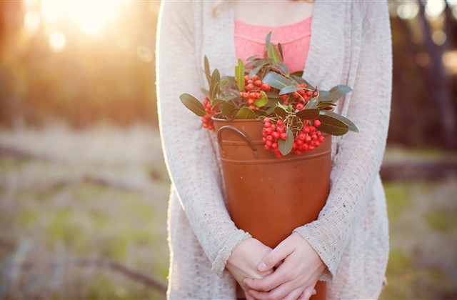 很拽的女孩名字(555个) 很拽的女孩名字(555个)