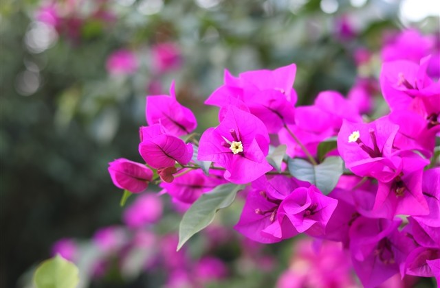 二到三个字的昵称 二至三个字简单大气网名