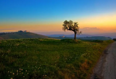 ​六姐妹网名大全(优选49个)