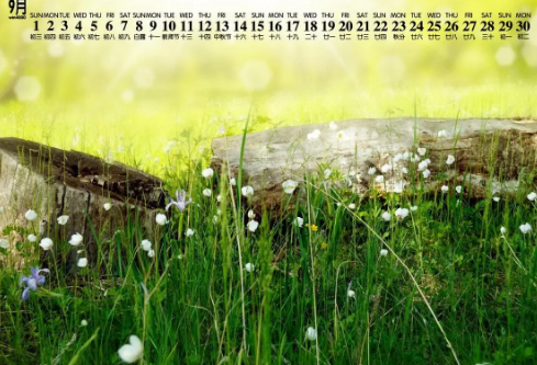 1692994037617721.png image.png