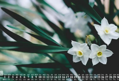 ​笑傲江湖里面的人物名字(66个)