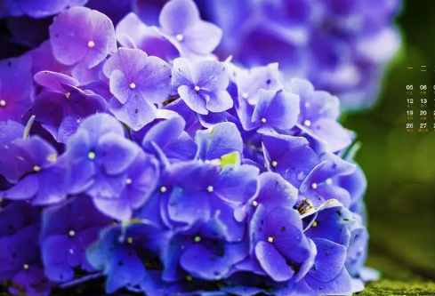 1692994368837355.png image.png