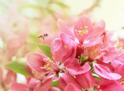 ​快手上最好最火的网红名字，捕获芳心的快手热门昵称